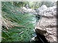 DSCF6011.JPG