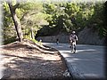 DSCF6012.JPG