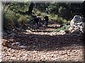 DSCF6018.JPG