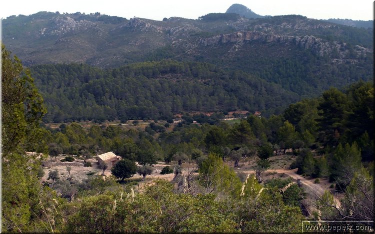 PA200565.JPG