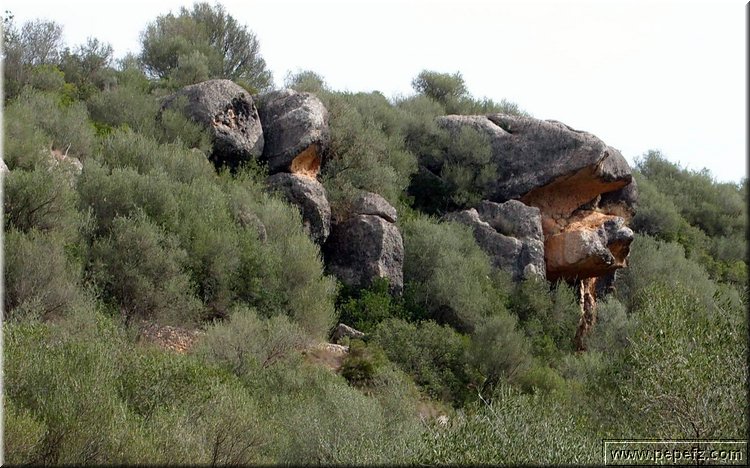 PA200579.JPG