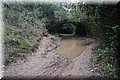 PA200484.JPG