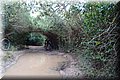 PA200490.JPG