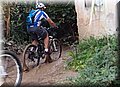 PA200500.JPG
