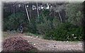 PA200507.JPG