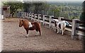 PA200523.JPG