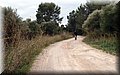 PA200551.JPG
