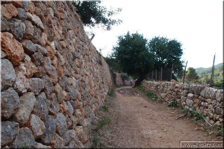 PA270887.JPG
