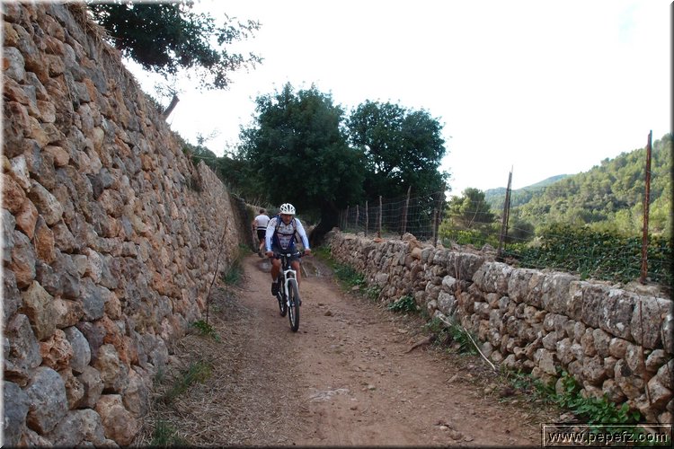 PA270890.JPG