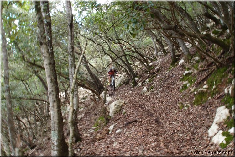 PA270939.JPG