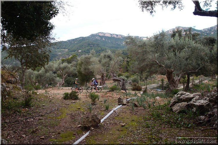 PA270966.JPG