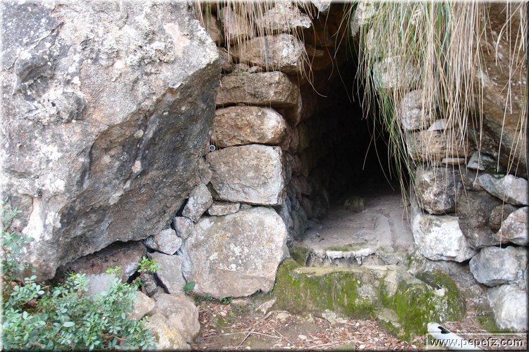 PA270967.JPG