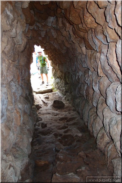PA270972.JPG