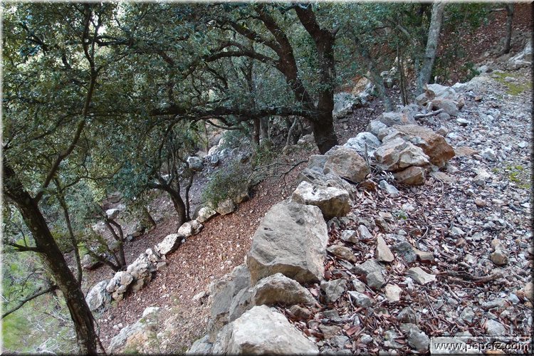 PA270976.JPG