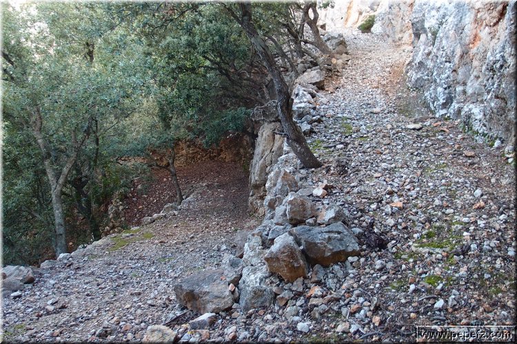 PA270977.JPG