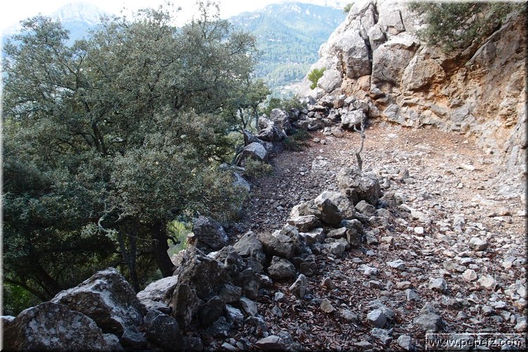 PA270978.JPG