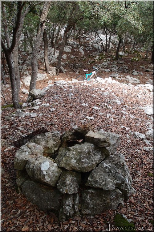 PA271020.JPG