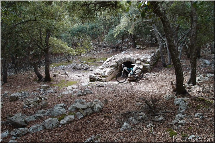 PA271024.JPG