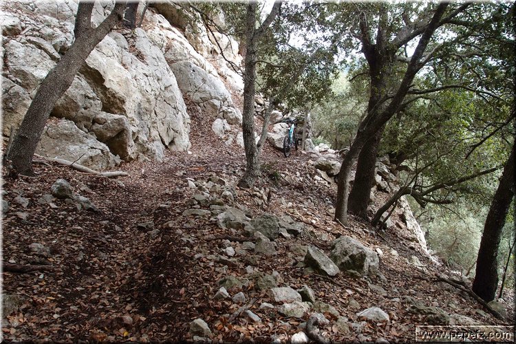 PA271027.JPG