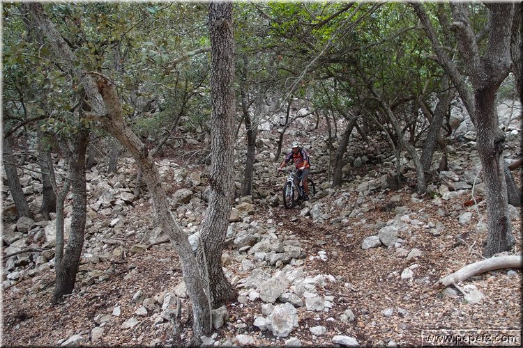 PA271029.JPG