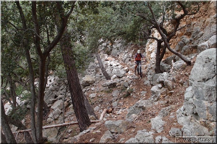 PA271032.JPG
