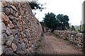 PA270887.JPG