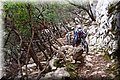 PA270932.JPG