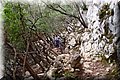 PA270934.JPG