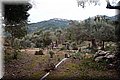 PA270966.JPG