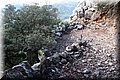 PA270978.JPG