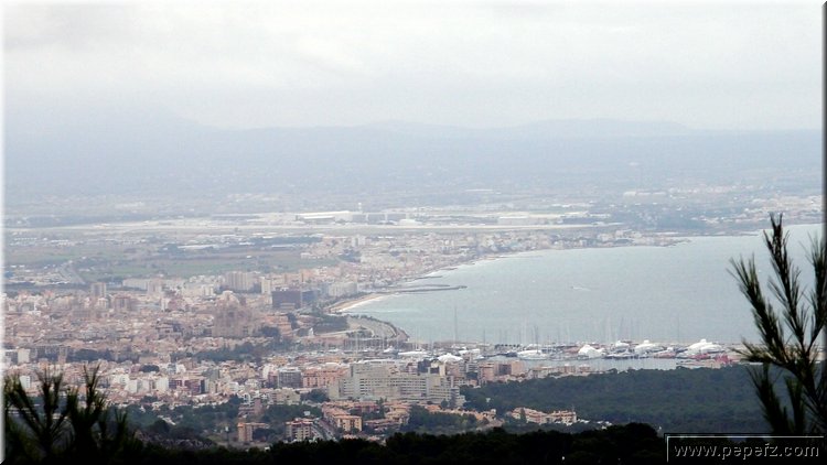 PB031195.JPG