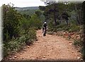 PB031192.JPG