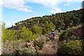 PC012459.JPG