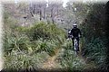 PC012487.JPG