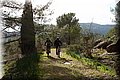 PC012501.JPG