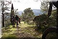 PC012502.JPG
