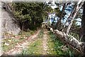 PC012507.JPG