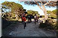 PC062635.JPG