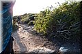 PC062644.JPG