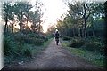 PC062656.JPG