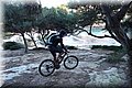PC062657.JPG