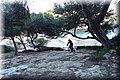 PC062660.JPG