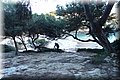 PC062661.JPG