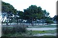 PC062679.JPG