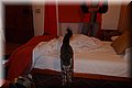 PC072687.JPG