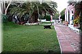 PC072698.JPG