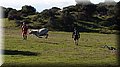 PC072784.JPG