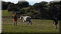 PC072785.JPG