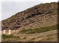 PC082950.JPG