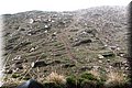 PC082963.JPG